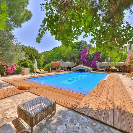 La Salvia Hotell Kaş